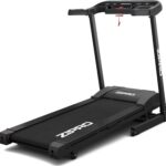 Zipro Pulse