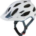 Alpina Carapax 2.0 white pebble blue matt L
