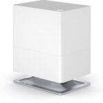Stadler forma Oskar Little White